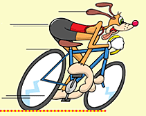 Rider